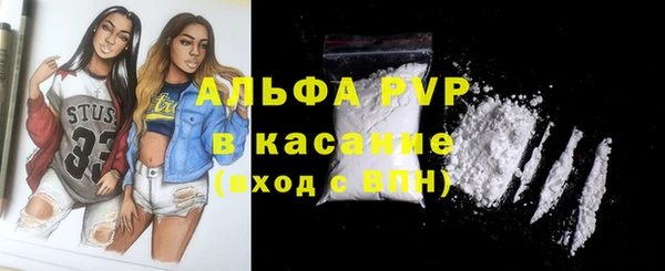 прущие грибы Белокуриха