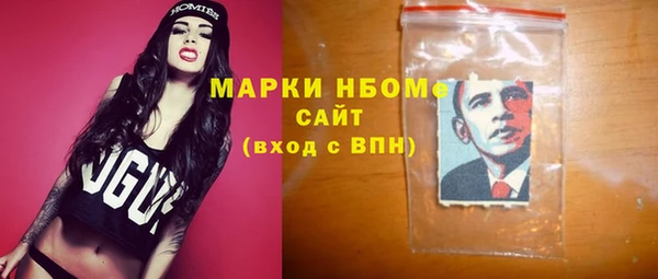 прущие грибы Белокуриха