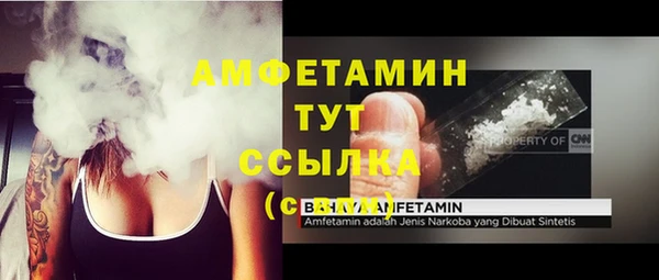 прущие грибы Белокуриха