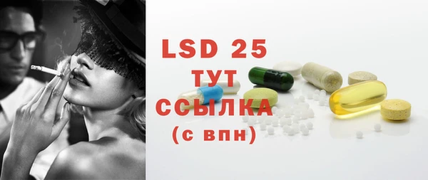прущие грибы Белокуриха
