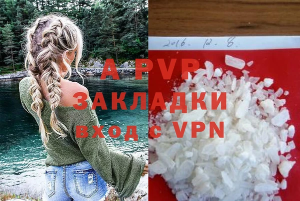 прущие грибы Белокуриха