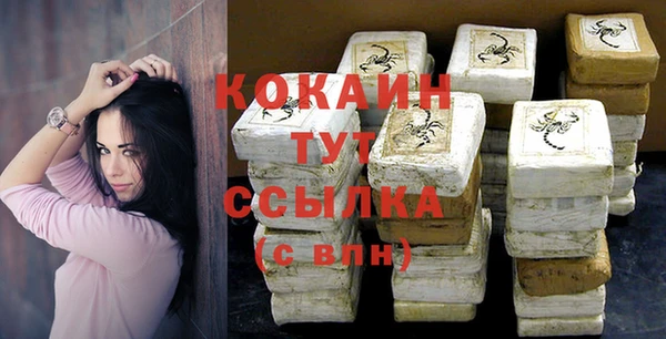прущие грибы Белокуриха